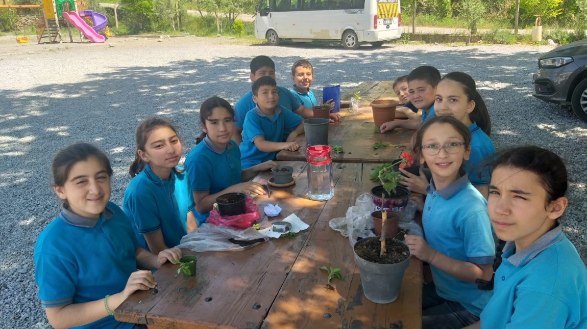 Mavi Yeşil Okullar Projesi (Saksılara Fidan Dikme ve Bitki Bakımı)